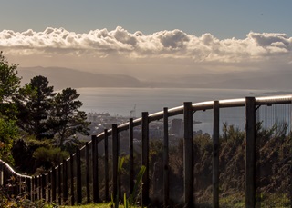 Fence in Zealandia.