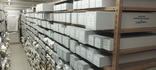 Shelves within the Archives.