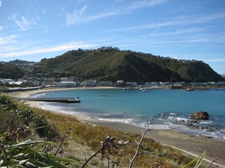 Wellington hills and beach with a wharf in the middle.