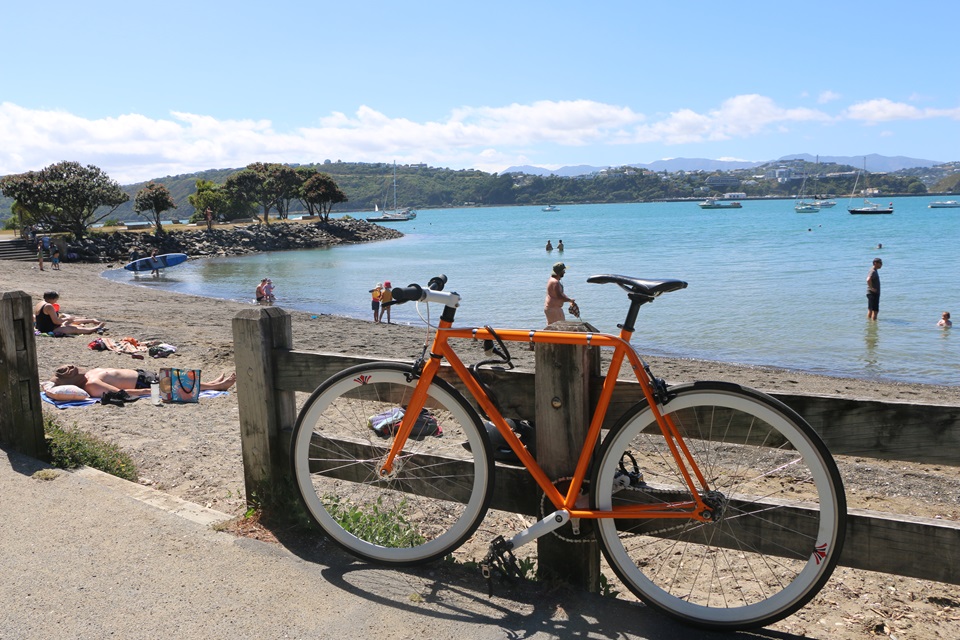Bike chained to fence at Hataitai Beach