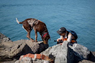 A brown medium dog on the rocks next to the ocean with a person wearing a cap and backpack crouching beside them.