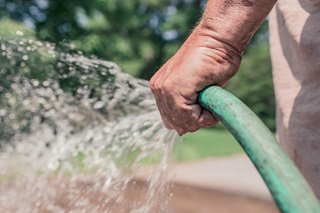 A person's hand holding a green hose spraying water. 