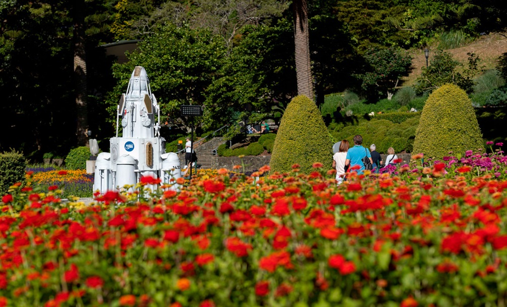A garden of red flowers with a space rocket sculpture in the background.
