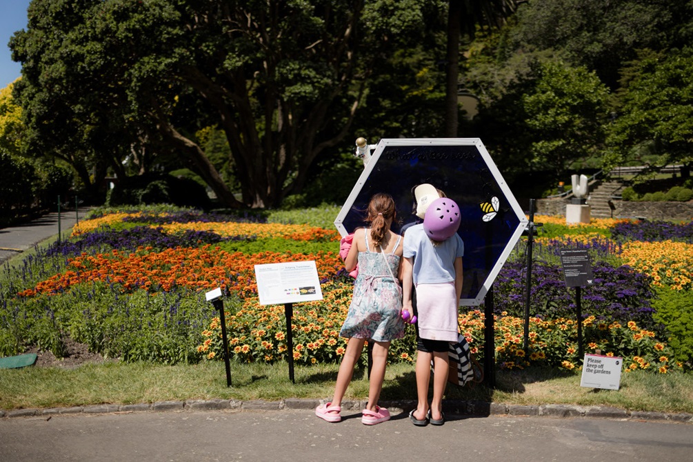 Two children read an information board about bees at the Wellington Botanic Gardens.