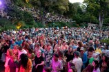 A crowd dances to music at the Wellington Botanic Gardens.