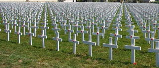Field of white crosses with poppies on them.