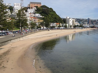 Golden sand in Oriental Bay.