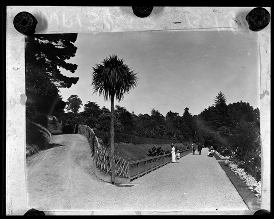 Botanic Garden 1915