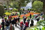A crowd of people walk through the Botanic Gardens near the Sound Shell on a sunny day