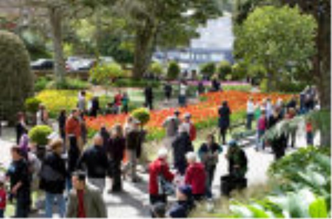 Council adopts Paekākā as the name for Wellington Botanic Garden precinct