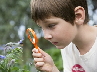 Boy looking at a bee through a magnifying glass.