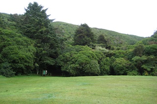 View of Johnsonville Park and bush on hills.
