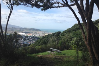 View looking out over Mt Alfred, picnic table and city in background.