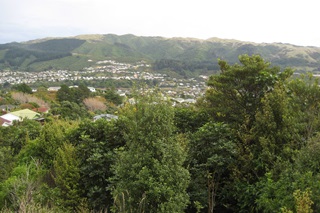 View of Tawa from Wilf Mexted park.