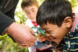 Two young boys looking at a leaf through a magnifying glass.