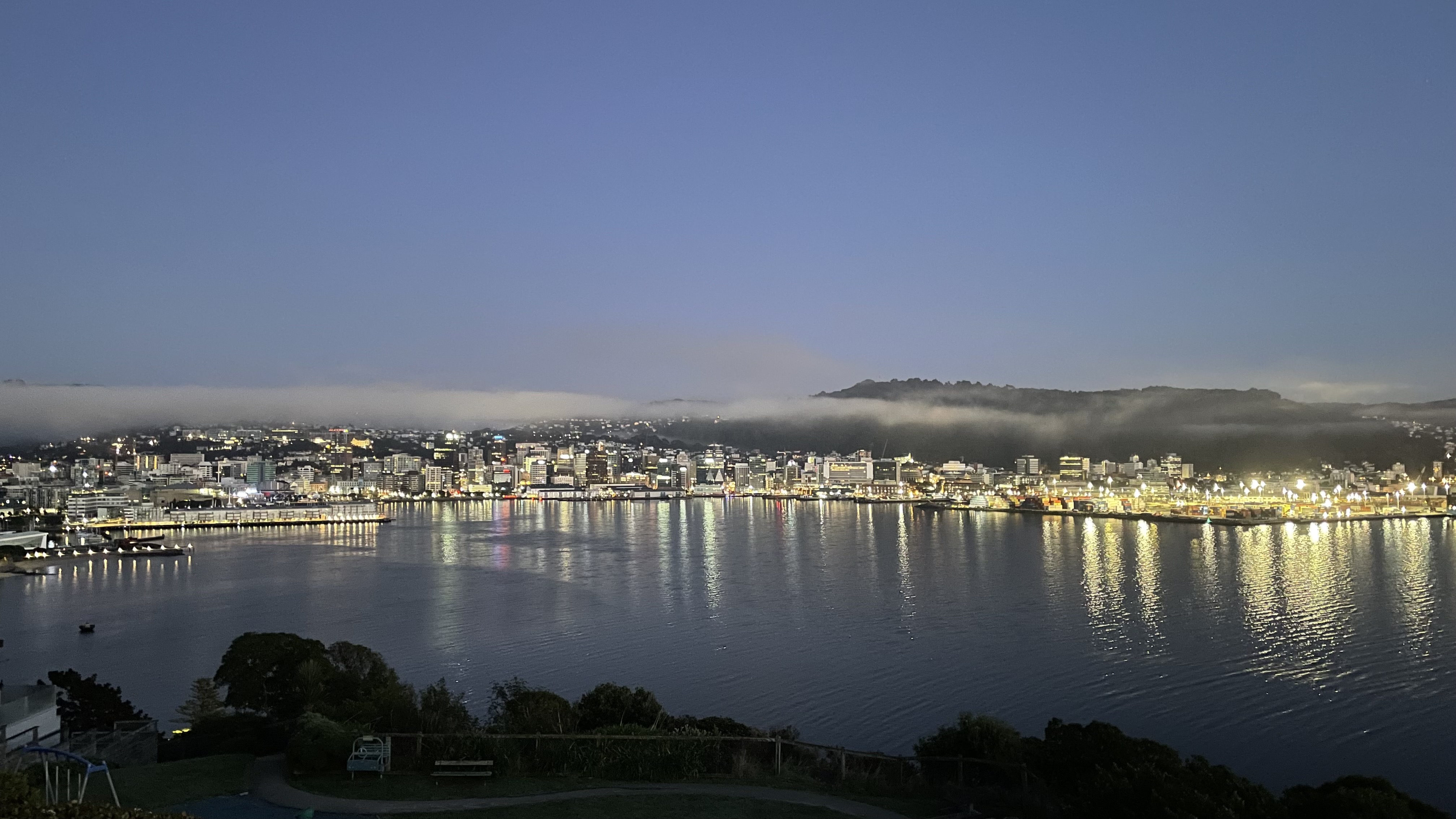 Wellington city and harbour by night in landscape