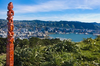 View of Wellington from Mount Victoria lookout, Wellington Town Belt.